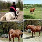 Profile Picture of sarah monge (@sarahmonge3317) on Instagram