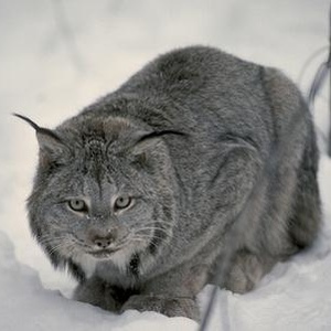 Profile Picture of Daniel Stöcker (@234773913) on Myspace