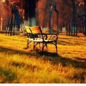 Profile Picture of Palvi Singla (@pallavisingla) on Pinterest