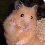 livcon - Instagram Profile Picture of livcon (@olivia_conway) on Instagram