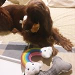 Profile Picture of Meher Patel (@meher1963) on Instagram