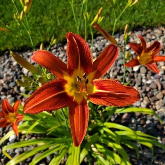 Profile Picture of Kimberly Rieck (@kybeni) on Poshmark