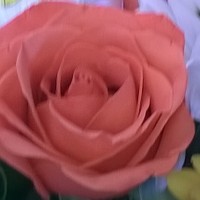 Profile Picture of Teresa Condes (@teresa-condes-1) on Quora