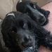 Profile Picture of Suzanne Best (@suzanne.best) on Facebook
