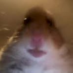 Profile Picture of Roxanne Edison (@roxy.gaming.1069) on Facebook