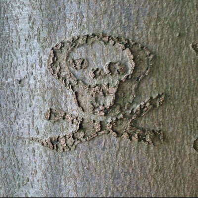 Profile Picture of Eric Stricker (@DerUrug) on Twitter
