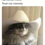 Profile Picture of Jake leahy (@leahy.jake) on Instagram