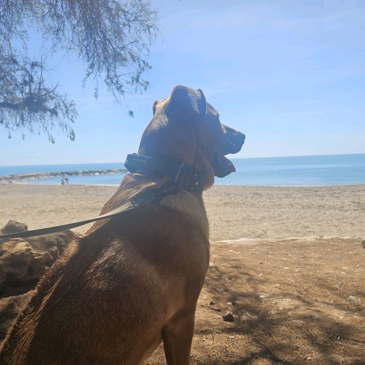 Profile Picture of Sandra Werth (@sandrawerth) on Tiktok