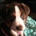 Profile Picture of Terrie Burkett (@terrieannb) on Pinterest