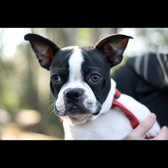 Profile Picture of Matt Landers (@mklanders86) on Poshmark