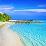 Profile Picture of Lillie Markus (@lilliemarkus3) on Instagram