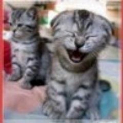 Profile Picture of Mark Jayne (@MarkJayne3) on Twitter