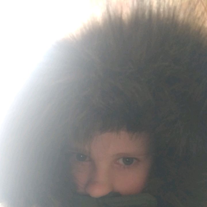 Profile Picture of Michael Komarov (@raelmichaelko1) on Tiktok