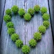 Profile Picture of Shawndella Bounds Aguirre (@mommypolice3) on Pinterest
