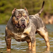 Profile Picture of Miguel Ruan (@MiguelRuan-s6u) on Youtube