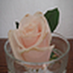 Profile Picture of Ursula Telschow (@ursula telschow) on Flickr