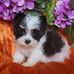 Profile Picture of Kathy Buffington (@kathy.buffington.33) on Facebook