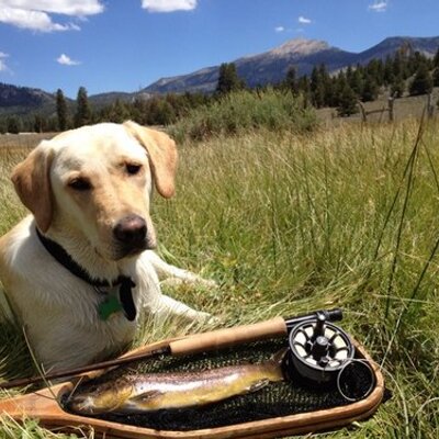 Profile Picture of John Noland (@NolandJohn) on Twitter