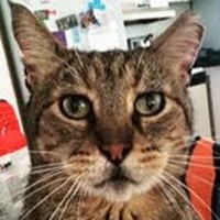 Susan Macisaac-gallant - Quora Profile Picture of Susan Macisaac-gallant (@susan-macisaac-gallant) on Quora