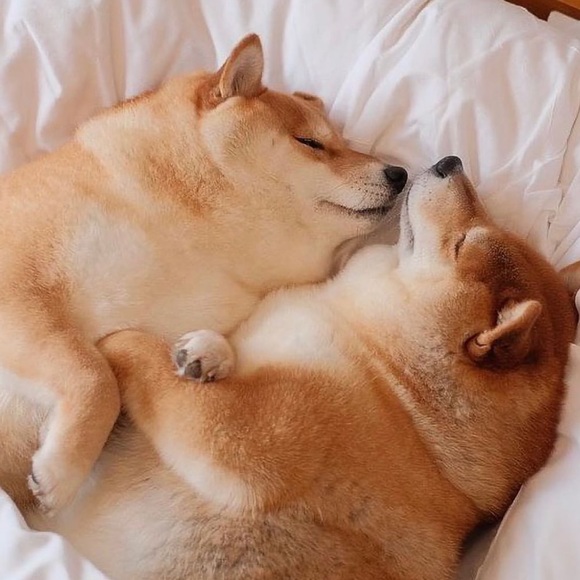 Profile Picture of Jessica Yeh (@jy0405) on Poshmark