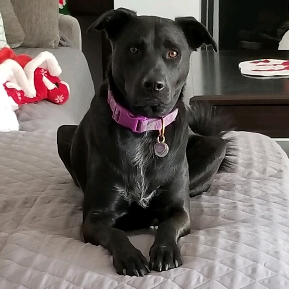 Profile Picture of Julian Navarro (@navarroj17) on Poshmark