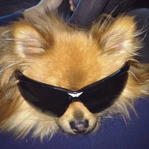 Profile Picture of Aaron Straus (@aaron_straus) on Poshmark