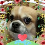 Profile Picture of Tweet Naone (@tweet.naone) on Facebook