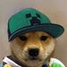 Profile Picture of Giovanni Alfaro (@alfaro7390) on Pinterest