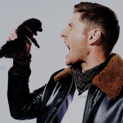 Profile Picture of Just Love Jensen (@April7717) on Twitter