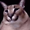 Profile Picture of Myra Bauer (@myrabauer_1245) on Tiktok