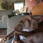 Profile Picture of Jay Janes (@jay.edward.baxter.janes) on Instagram