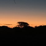 Profile Picture of Kyle-miguel do Rosario (@migzaspix) on Instagram