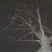 Profile Picture of Tim Leaf (@bequietandspiralout) on Youtube