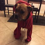 Profile Picture of Jeff Laine (@el_jefel) on Instagram