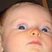 Profile Picture of Lily Muir (@lilymuir4) on Pinterest