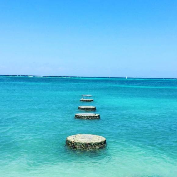 Noelle Ward-wallace - Poshmark Profile Picture of Noelle Ward-wallace (@nwardwallace) on Poshmark