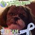 Profile Picture of Mary Harshbarger (@mary.maricleharshbarger) on Facebook