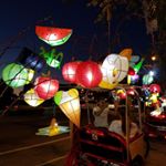 Profile Picture of Deborah Cahill (@dcahill10) on Instagram