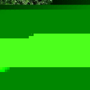 Profile Picture of George Chard (@250285701) on Myspace