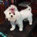 Profile Picture of Jean Ayers (@jean.ayers.10) on Facebook