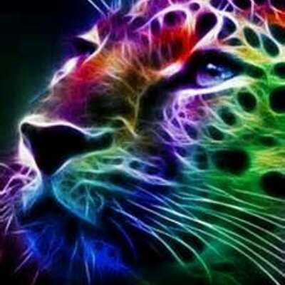 Profile Picture of Katlyn Hall (@yomama_kh) on Twitter