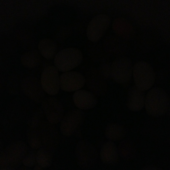 Profile Picture of Liz Valiente (@lizv) on Poshmark