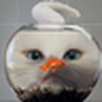 Profile Picture of Jian Huang (@Jian.Huang1984) on Flickr