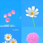 Profile Picture of Greg Gilosia (@Greg-Gilosia) on Facebook