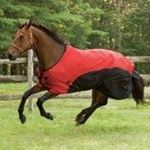 Profile Picture of Susan Banta (@bantasu) on Instagram