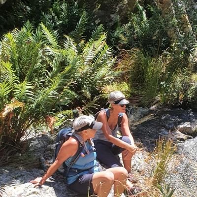Profile Picture of Lynette Wallace (@Lynette66207693) on Twitter