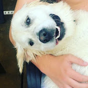 Profile Picture of Jamison Martin (@jamisonmartin6830) on Youtube