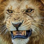 Profile Picture of Jonathan Bertera (@jonathanbertera) on Instagram