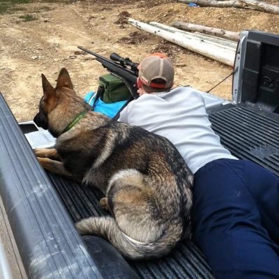 Profile Picture of Logan Knopp (@lion_heart07) on Twitter