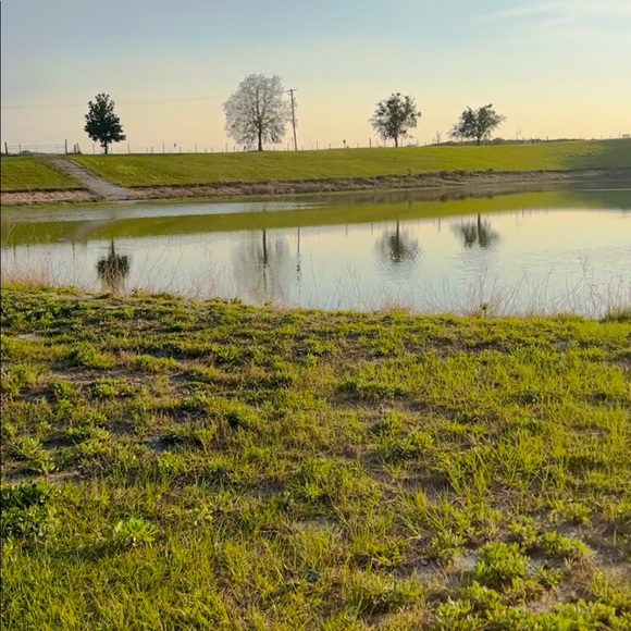 Profile Picture of Genesis Crespo (@geneann333) on Poshmark